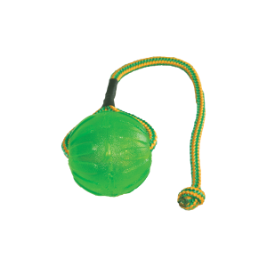 Starmark-swing-fling-chew-ball-2