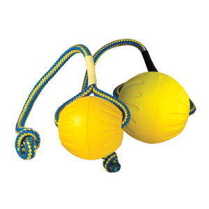 Starmark-swing-fling-fetch-ball-2