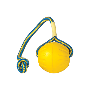 Starmark-swing-fling-fetch-ball-3