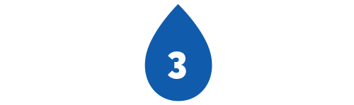 Cat Water 3