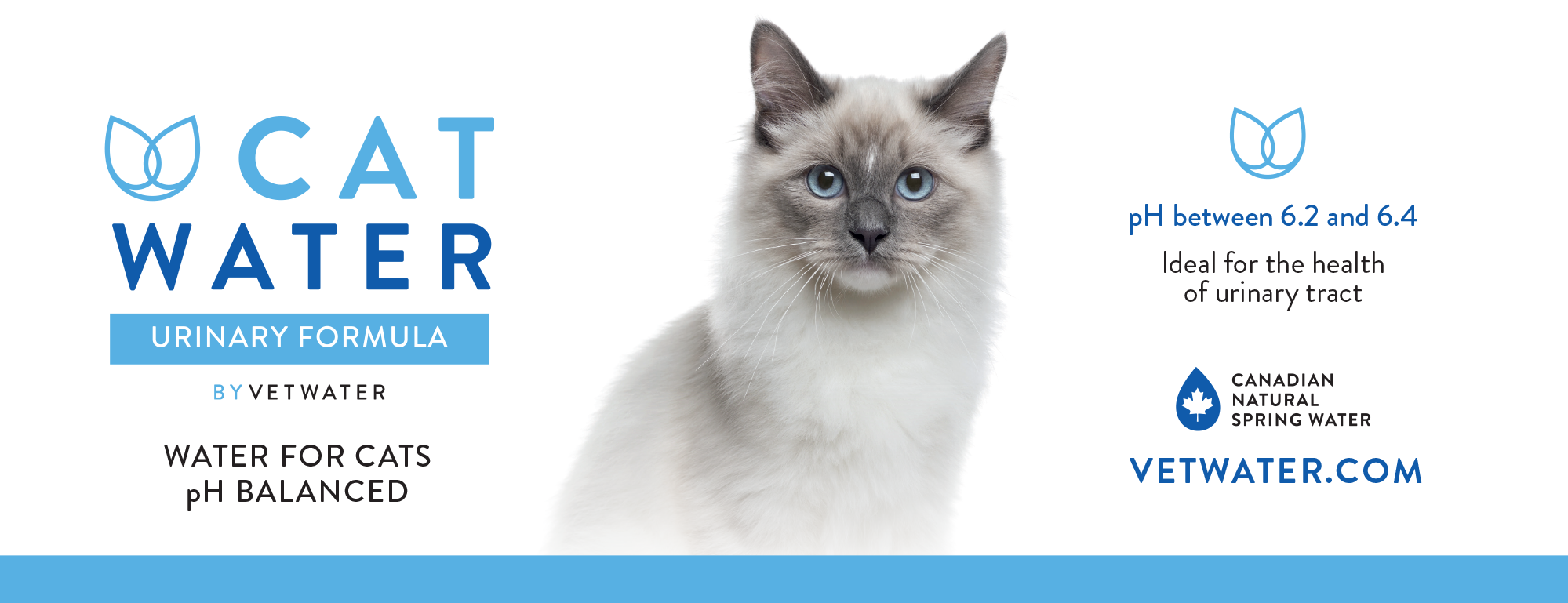 Cat Water Header image