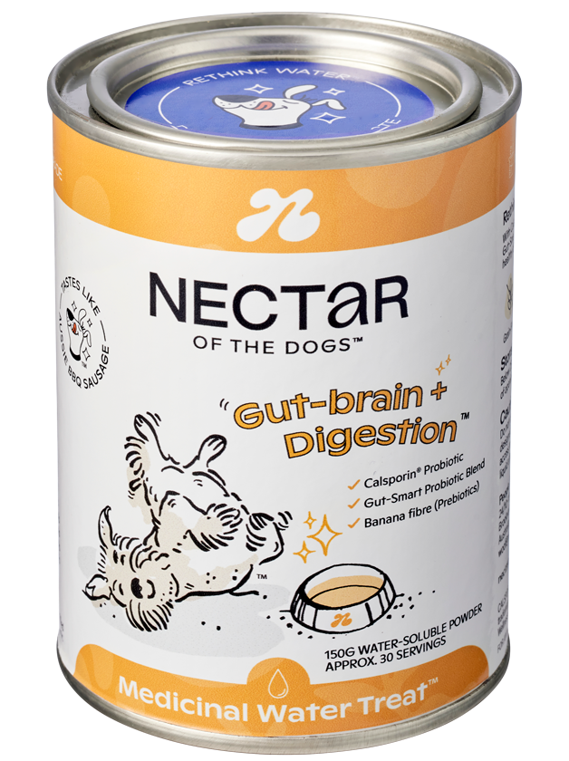 Nectar of the Dogs_Gut Brain Digestion