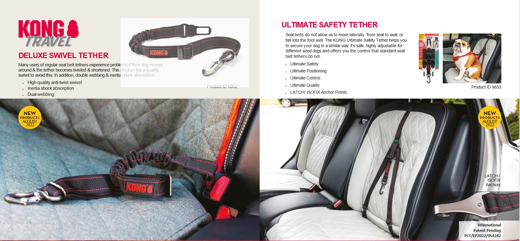 Kong – Central Pet